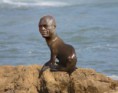 /album/fotogaleria/funny-seal-animal-singer-head-jpg/